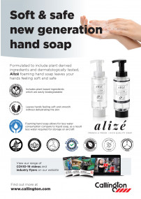 Alize Foaming Hand Soap
