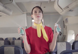 Callington Disinsection Videos