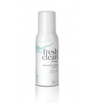 Fresh+Clean Cabin Aerosol Spray