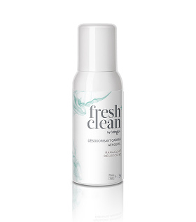 Fresh+Clean Cabin Aerosol Spray